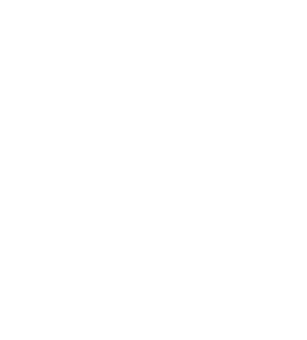 Ethics Law